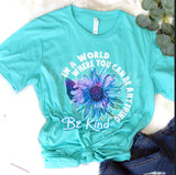 Be Kind Graphic Tee Shirt