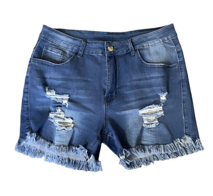 Dark Washed Distressed Shorts